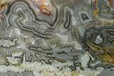 Polished Crazy Lace Agate Slab - Mexico #141205-1